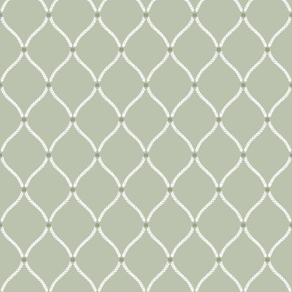Paisley Damask