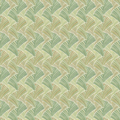 Colourful Connection
