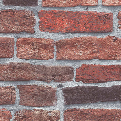 Burnt Clay Brick