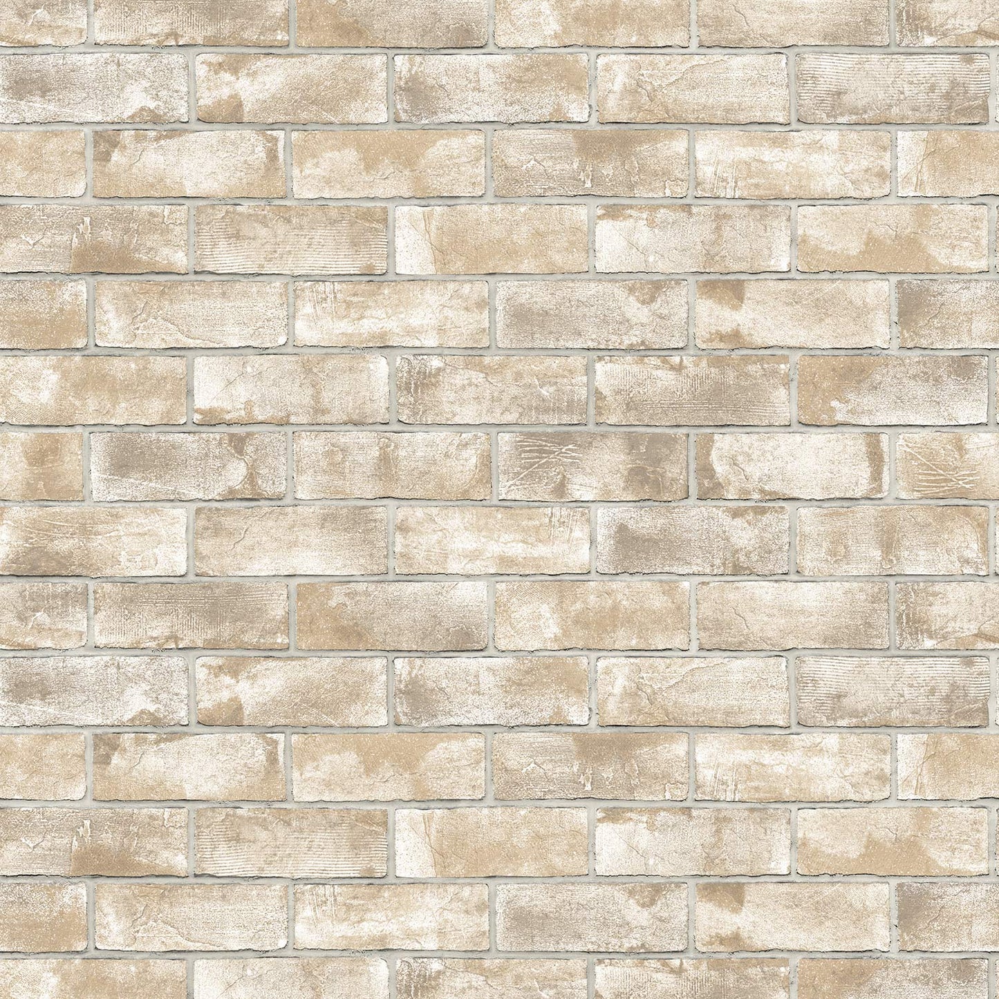 Fly Ash Brick