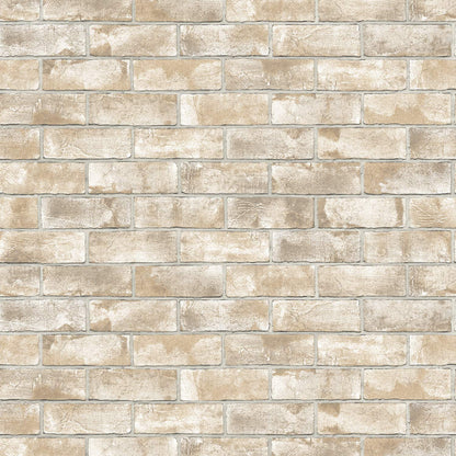 Fly Ash Brick