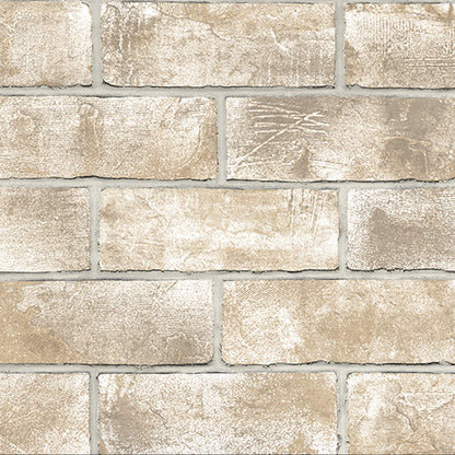 Fly Ash Brick