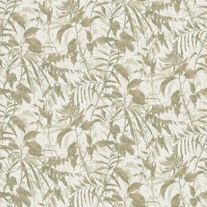 Best Wallpaper Shop In Gurgaon_Algae_Wallpaper Studio