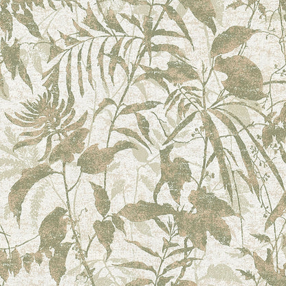 Best Wallpaper Shop In Gurgaon_Algae_Wallpaper Studio