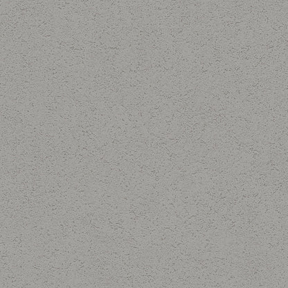 Best Wallpaper Shop In Gurgaon_Clay Plaster Wall_Wallpaper Studio