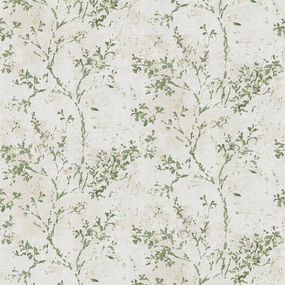 Best Wallpaper Shop In Gurgaon_Climbers_Wallpaper Studio
