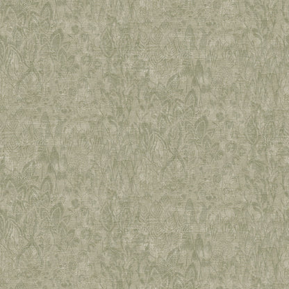 Best Wallpaper Shop In Gurgaon_Distressed Damask_Wallpaper Studio