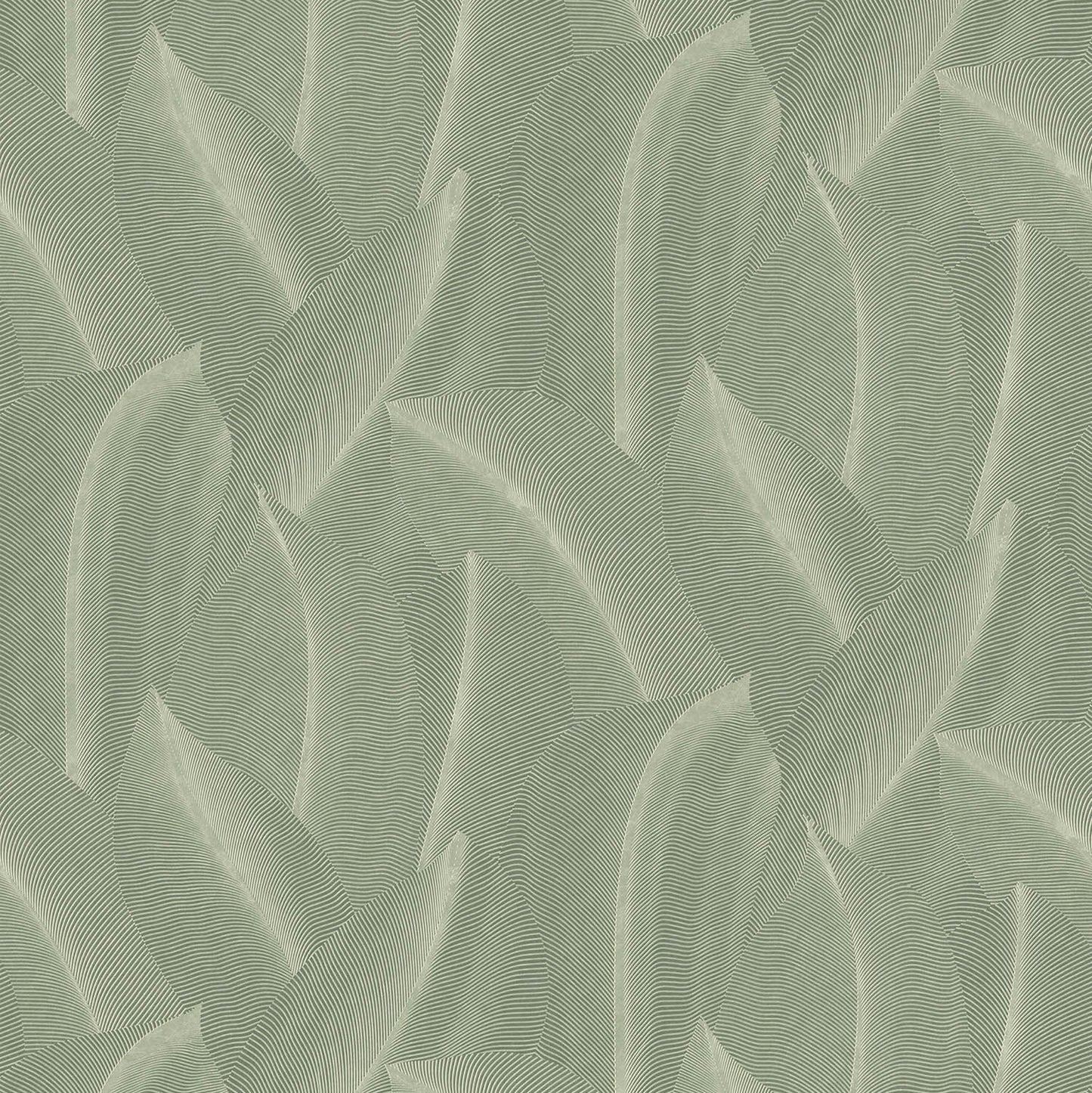 Best Wallpaper Shop In Gurgaon_Everblades Tropico_Wallpaper Studio