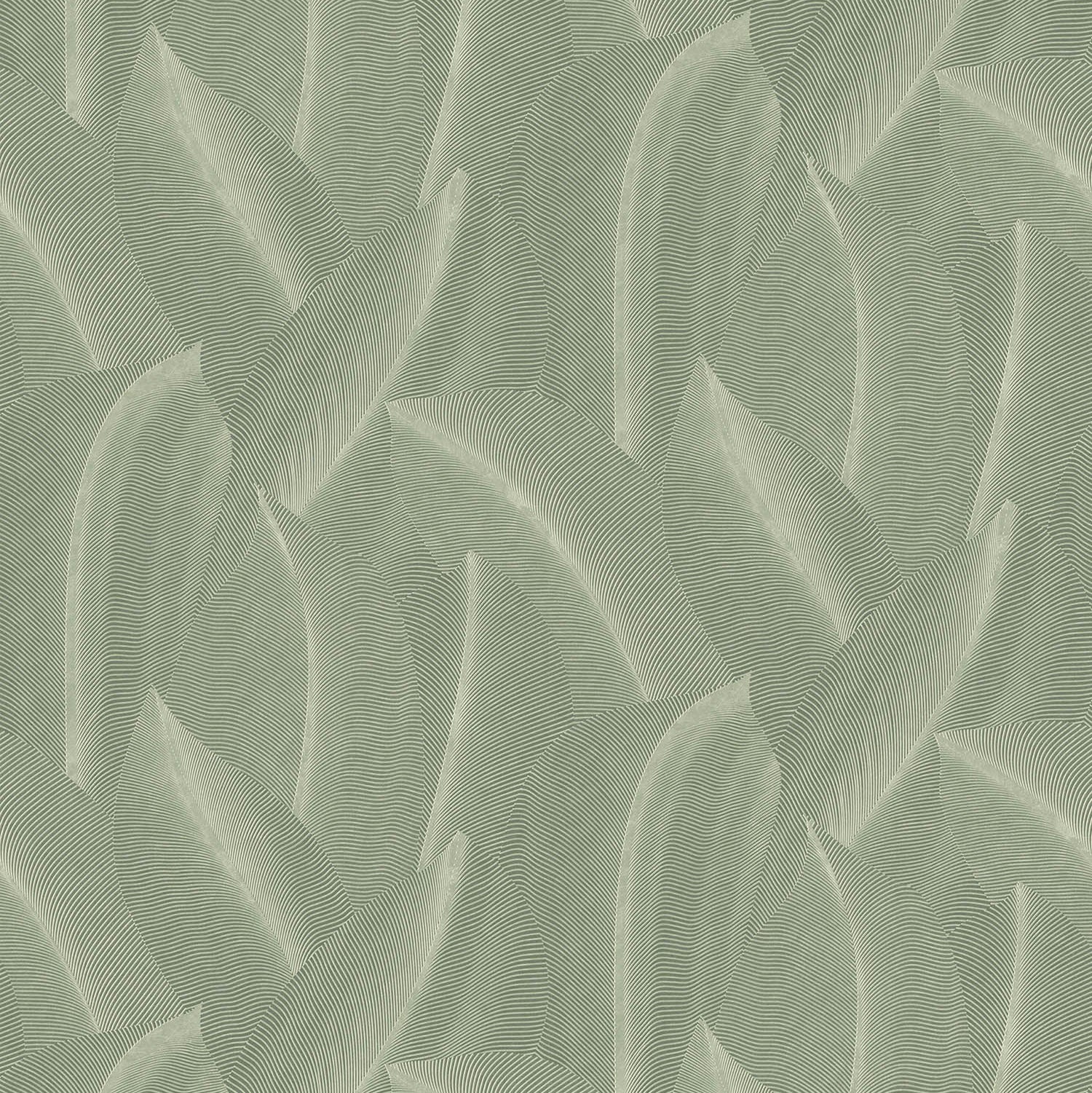 Best Wallpaper Shop In Gurgaon_Everblades Tropico_Wallpaper Studio