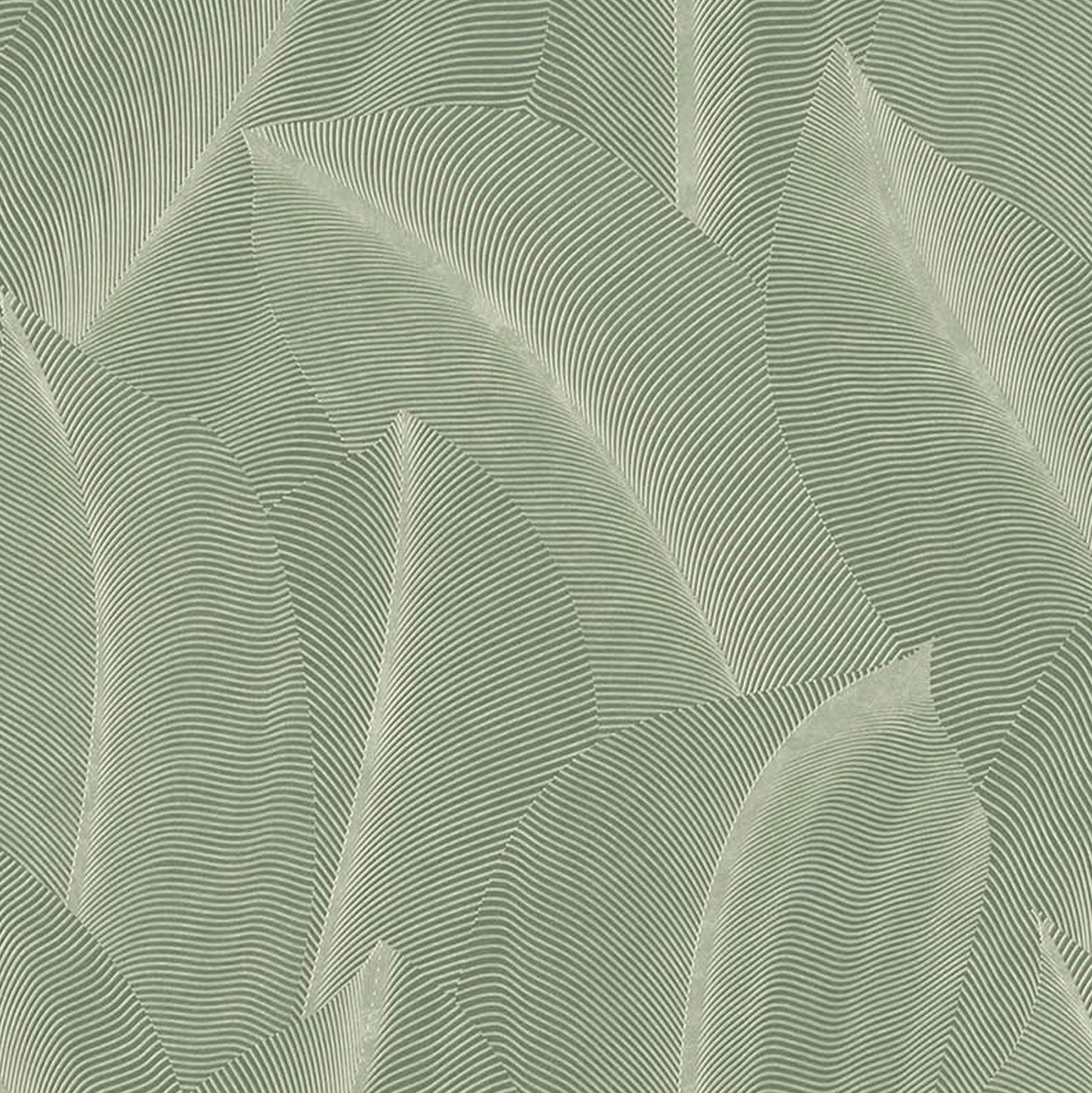 Best Wallpaper Shop In Gurgaon_Everblades Tropico_Wallpaper Studio