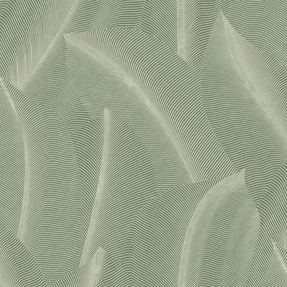 Best Wallpaper Shop In Gurgaon_Everblades Tropico_Wallpaper Studio