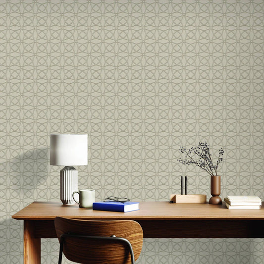 Best Wallpaper Shop In Gurgaon_Lattice Elegance_Wallpaper Studio