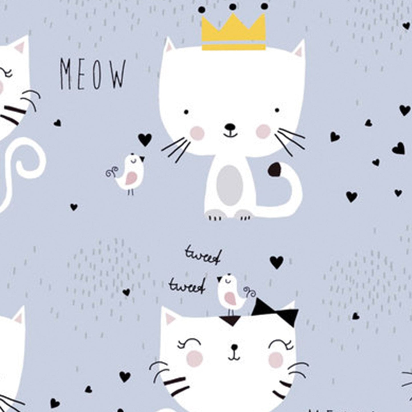 Best Wallpaper Shop In Gurgaon_Meow_Wallpaper Studio