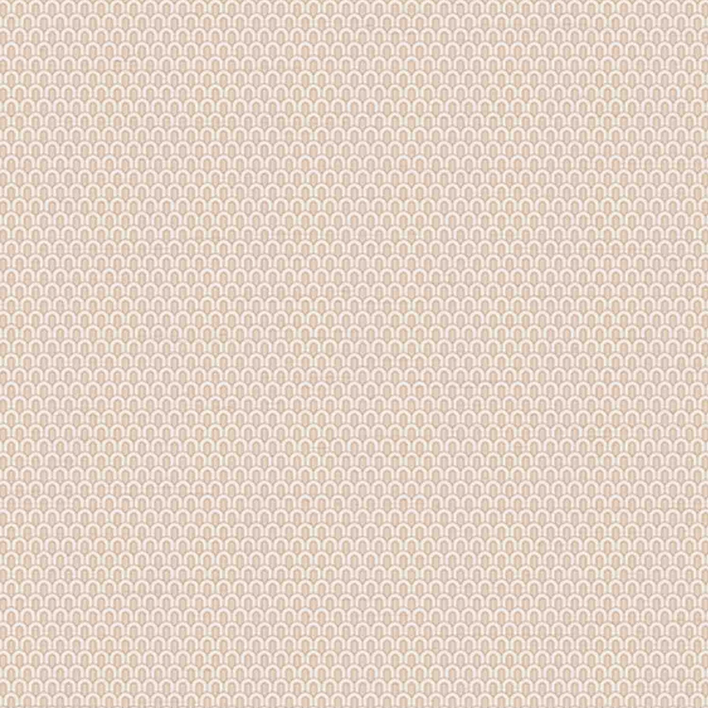 Best Wallpaper Shop In Gurgaon_Mini Arches_Wallpaper Studio