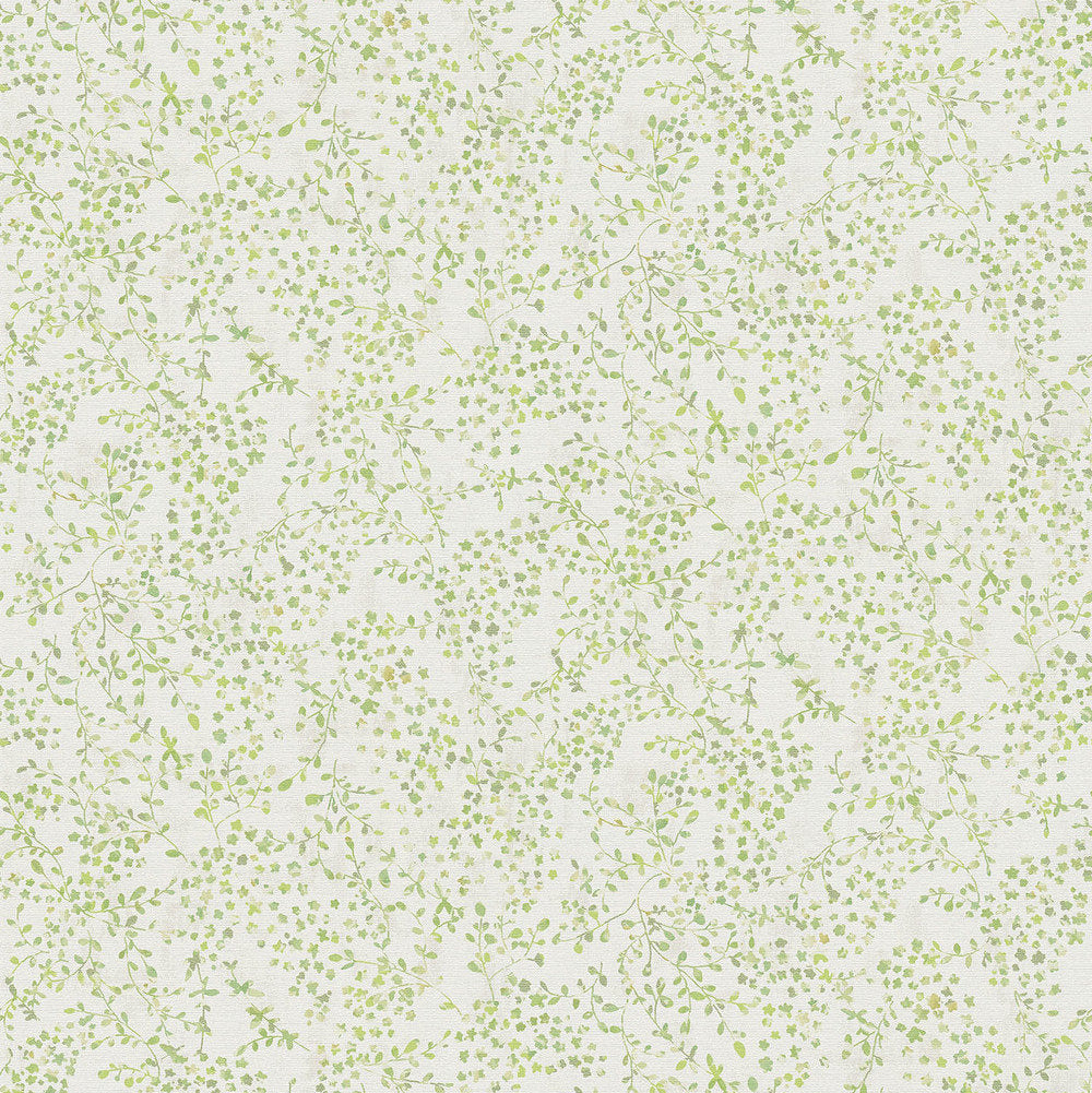 Best Wallpaper Shop In Gurgaon_Morriss_Wallpaper Studio