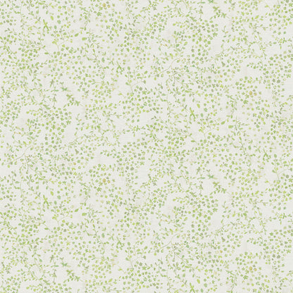 Best Wallpaper Shop In Gurgaon_Morriss_Wallpaper Studio