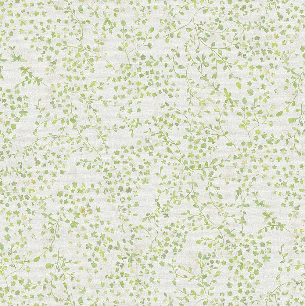 Best Wallpaper Shop In Gurgaon_Morriss_Wallpaper Studio
