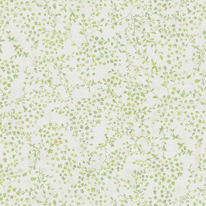 Best Wallpaper Shop In Gurgaon_Morriss_Wallpaper Studio