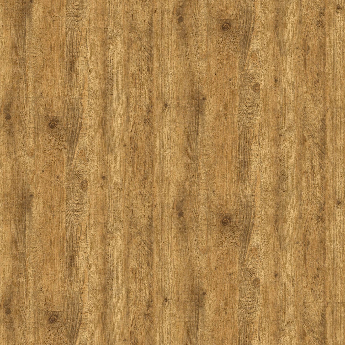 Best Wallpaper Shop In Gurgaon_Red Shisham_Wallpaper Studio