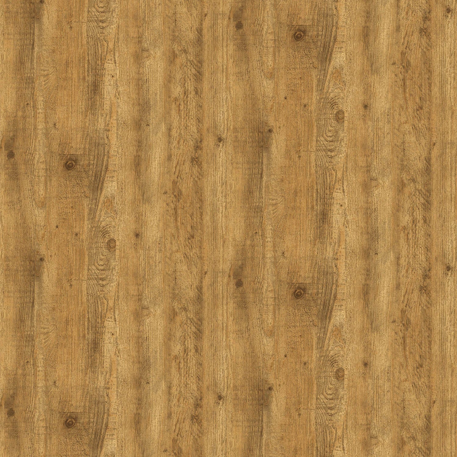 Best Wallpaper Shop In Gurgaon_Red Shisham_Wallpaper Studio