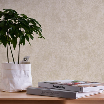 Best Wallpaper Shop In Gurgaon_Sandstone Grain_Wallpaper Studio