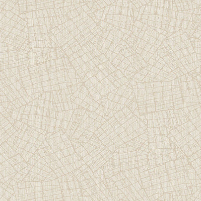 Best Wallpaper Shop In Gurgaon_Urban Mosaic_Wallpaper Studio