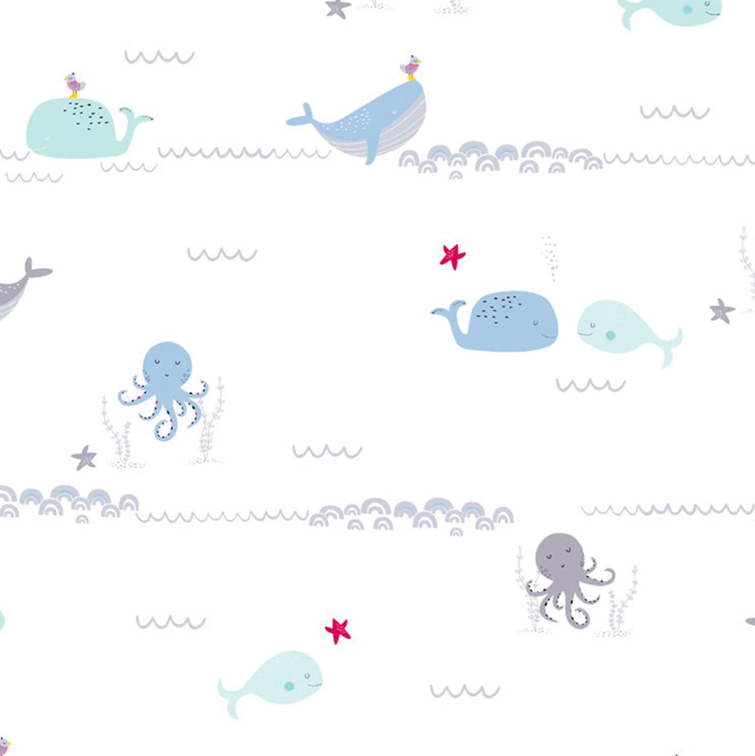 Best Wallpaper Shop In Gurgaon_Whale Quest_Wallpaper Studio
