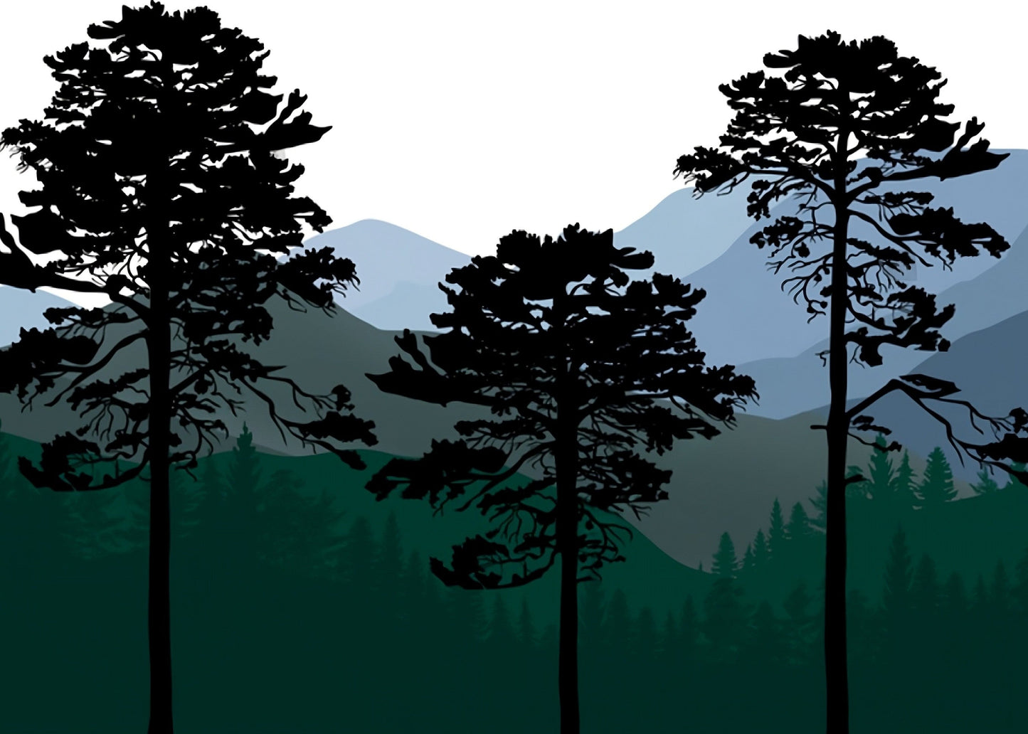 Best Wallpaper Showroom In Gurgaon_Silhouette Landscape_Wallpaper Studio