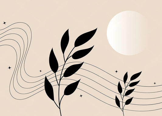 Best Wallpaper Showroom In Gurgaon_Wallpaper Studio