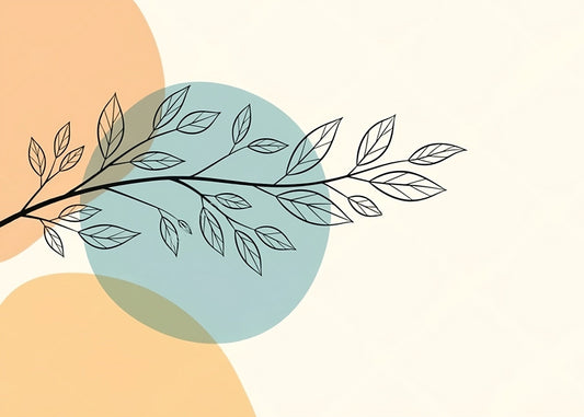 Best Wallpaper Showroom In Gurgaon_Wallpaper Studio