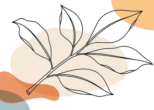 Best Wallpaper Showroom In Gurgaon_Wallpaper Studio