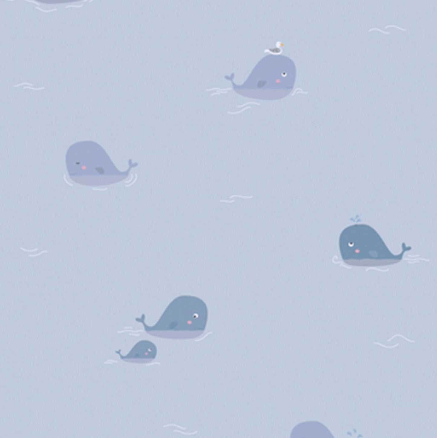 Best Wallpaper hop In Gurgaon_Ocean Whale_Wallpaper Studio
