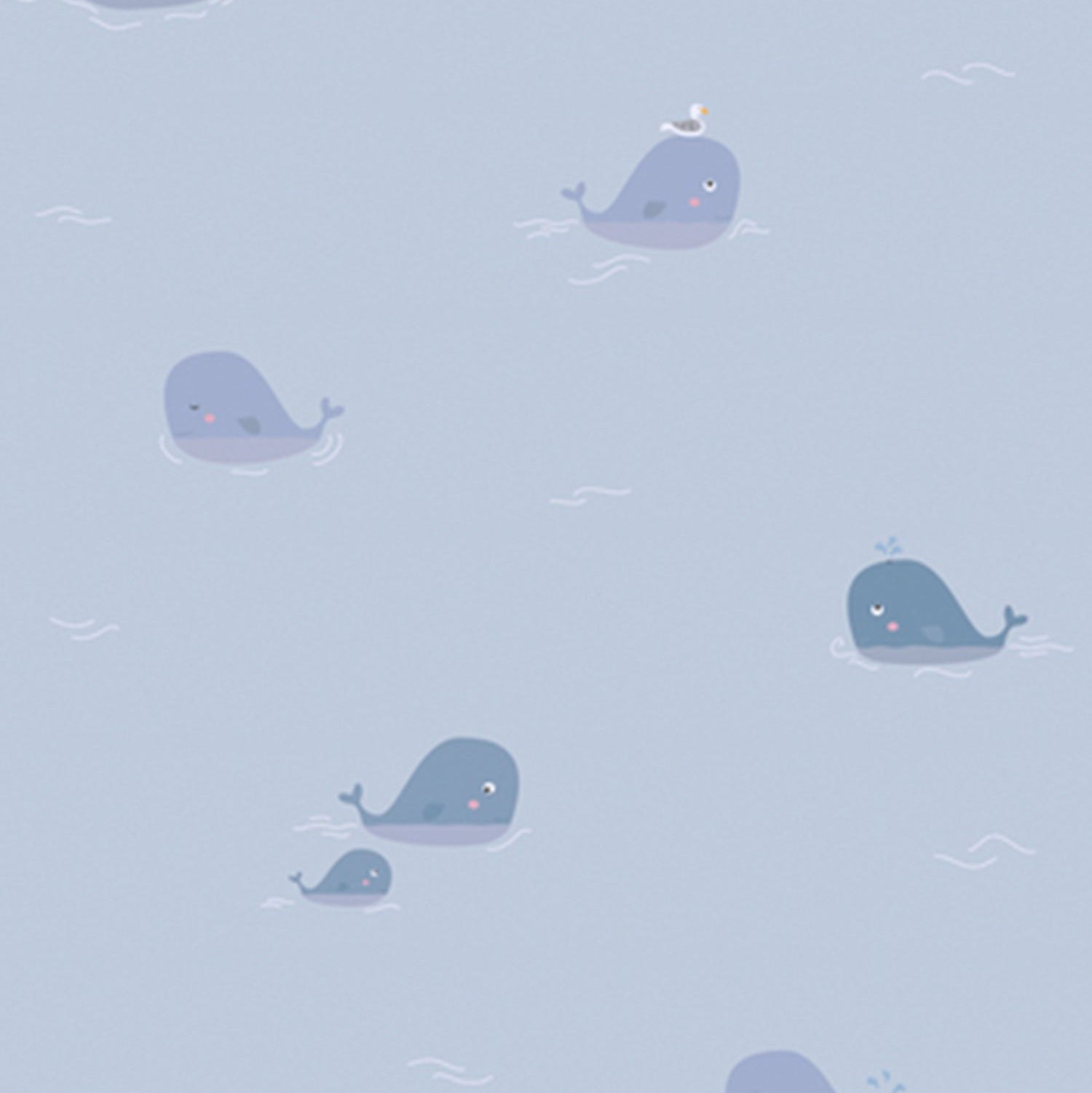Best Wallpaper hop In Gurgaon_Ocean Whale_Wallpaper Studio