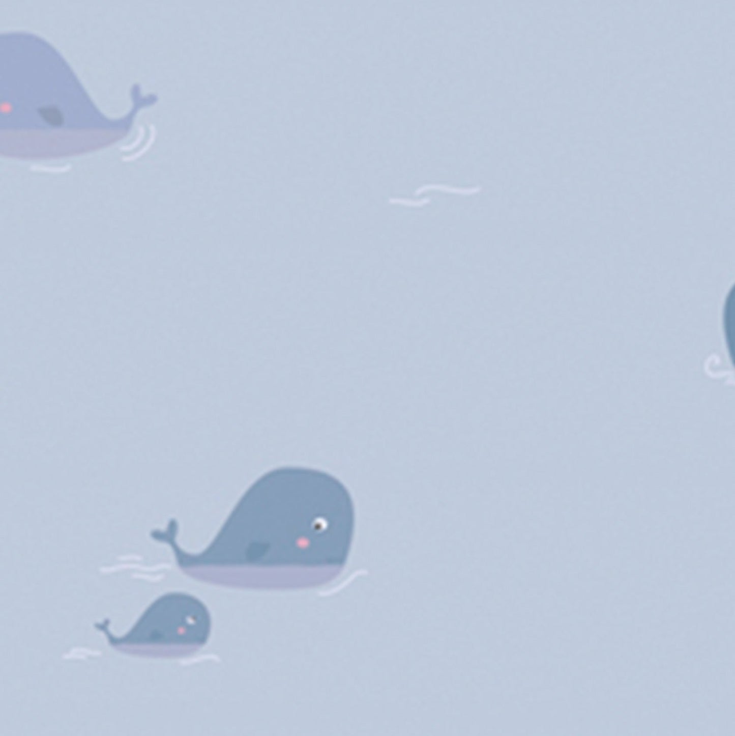 Best Wallpaper hop In Gurgaon_Ocean Whale_Wallpaper Studio