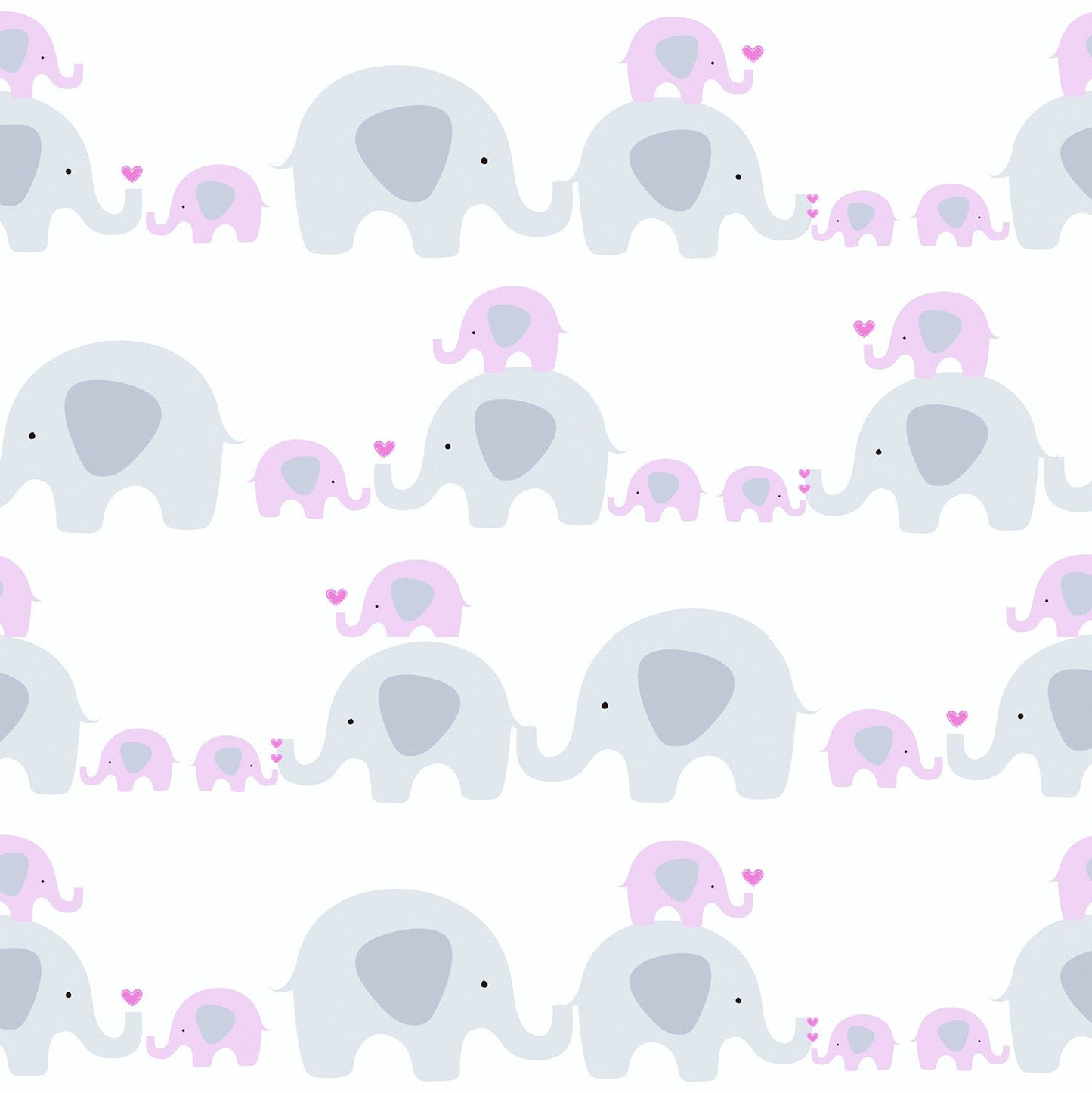 Best Wallpaper hop In Gurgaon_Peek A Boo_Wallpaper Studio