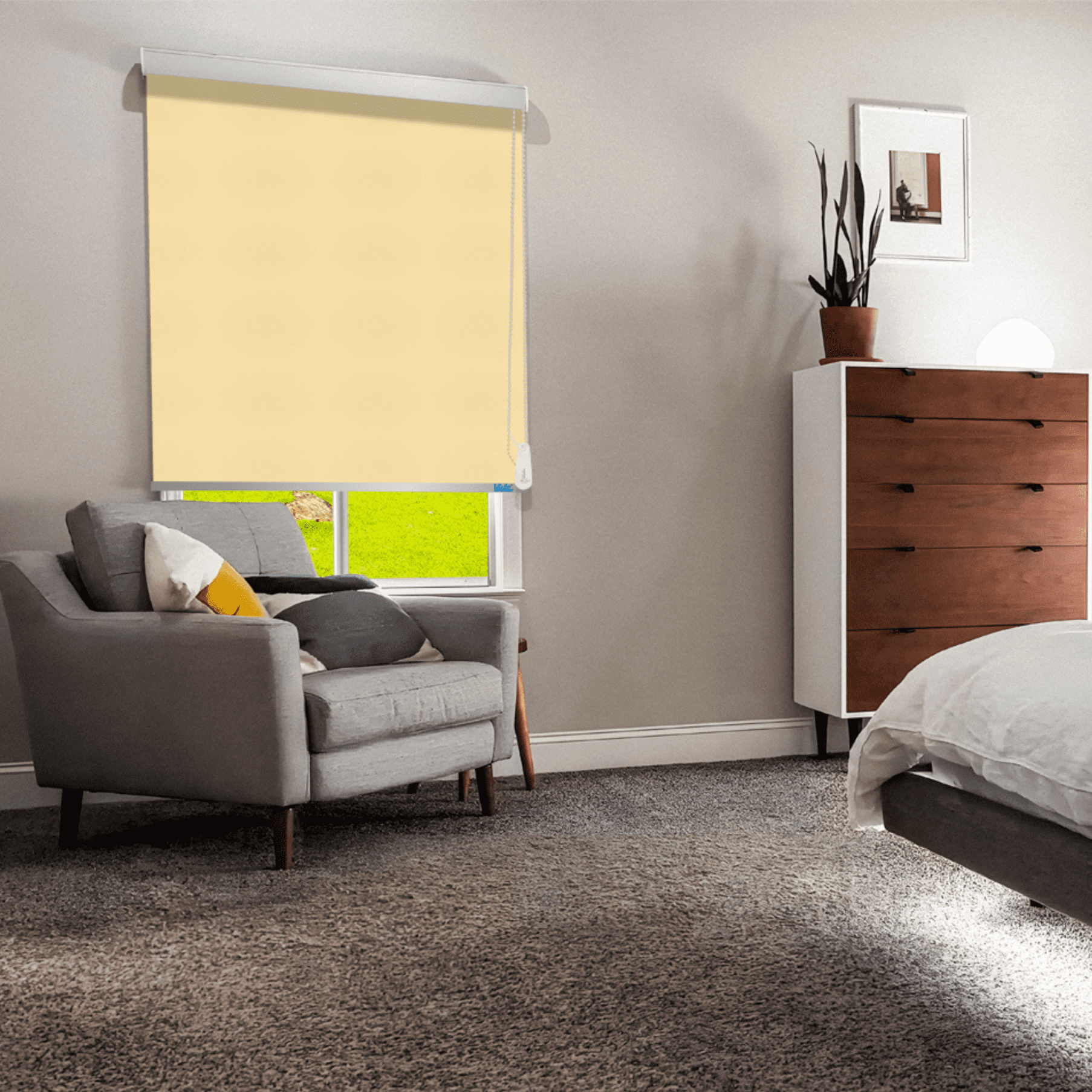 Best Window Blind Showroom In Gurgaon_Wallpaper Studio