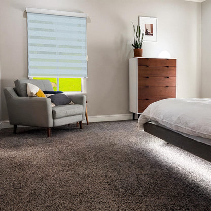 Best Window Blind Showrrom In Gurgaon_Zebra Blind_Wallpaper Studio