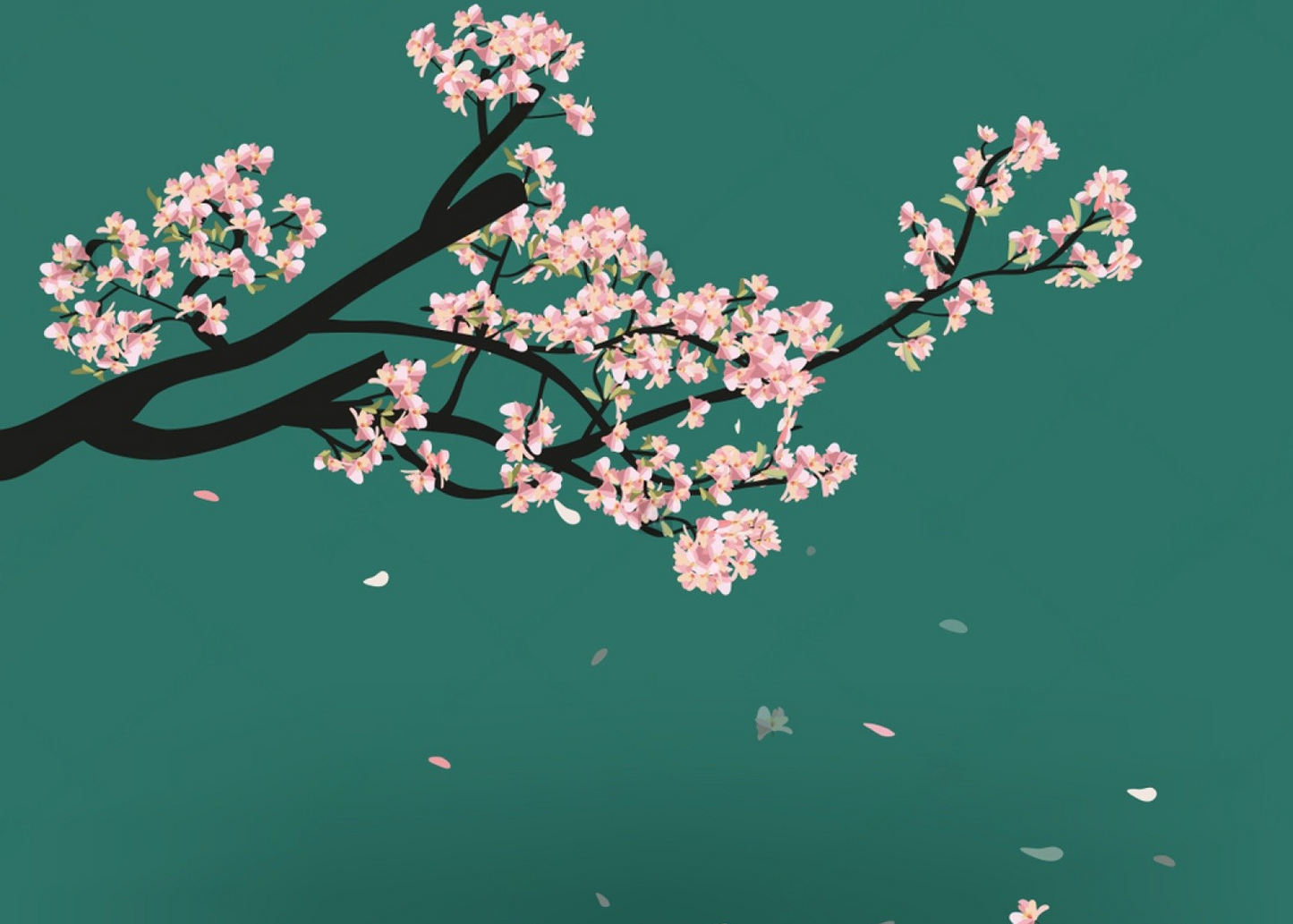 Minimalist Cherry Blossom Branch with Falling Petals on Teal Background